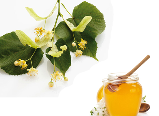Linden Honey