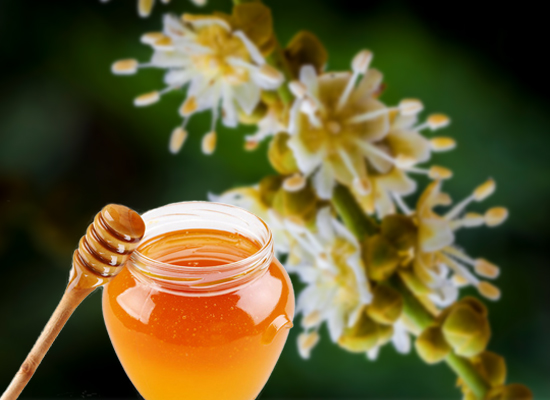 Longan Honey