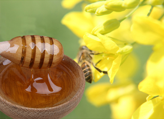 Rape Honey