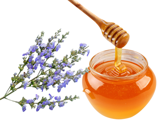 Vitex Honey
